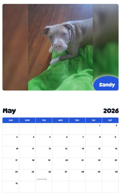 2026 - 2027 Sandy - Pawidols Pet Calendar