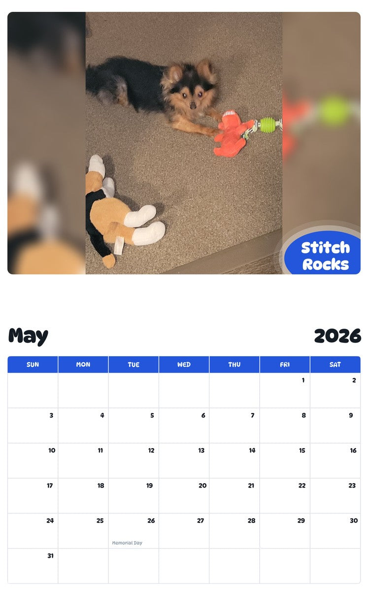 2026 - 2027 Stitch Rocks - Pawidols Pet Calendar