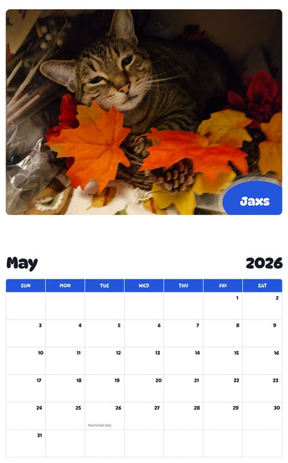 2026 - 2027 Jaxs - Pawidols Pet Calendar