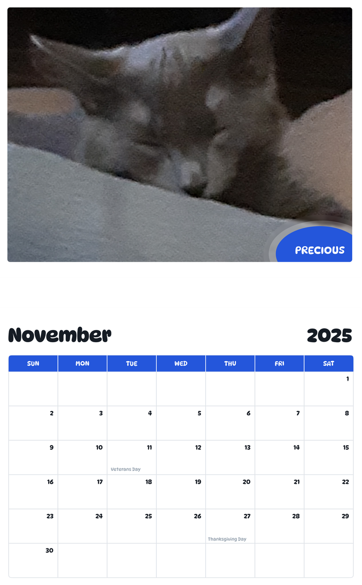 July 2025 - June 2026 Precious - Pawidols Pet Calendar