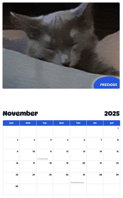 July 2025 - June 2026 Precious - Pawidols Pet Calendar