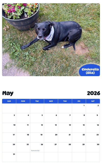 2026 - 2027 Cinderella (Ella) - Pawidols Pet Calendar