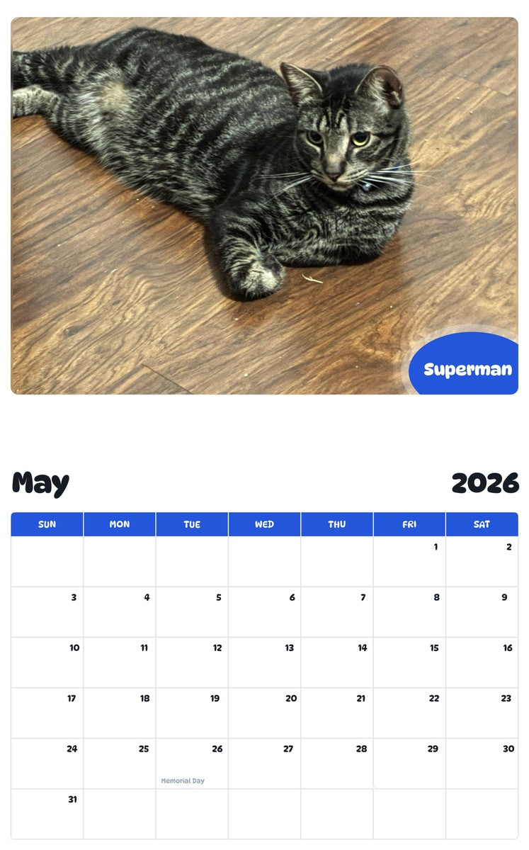 2026 - 2027 Superman - Pawidols Pet Calendar