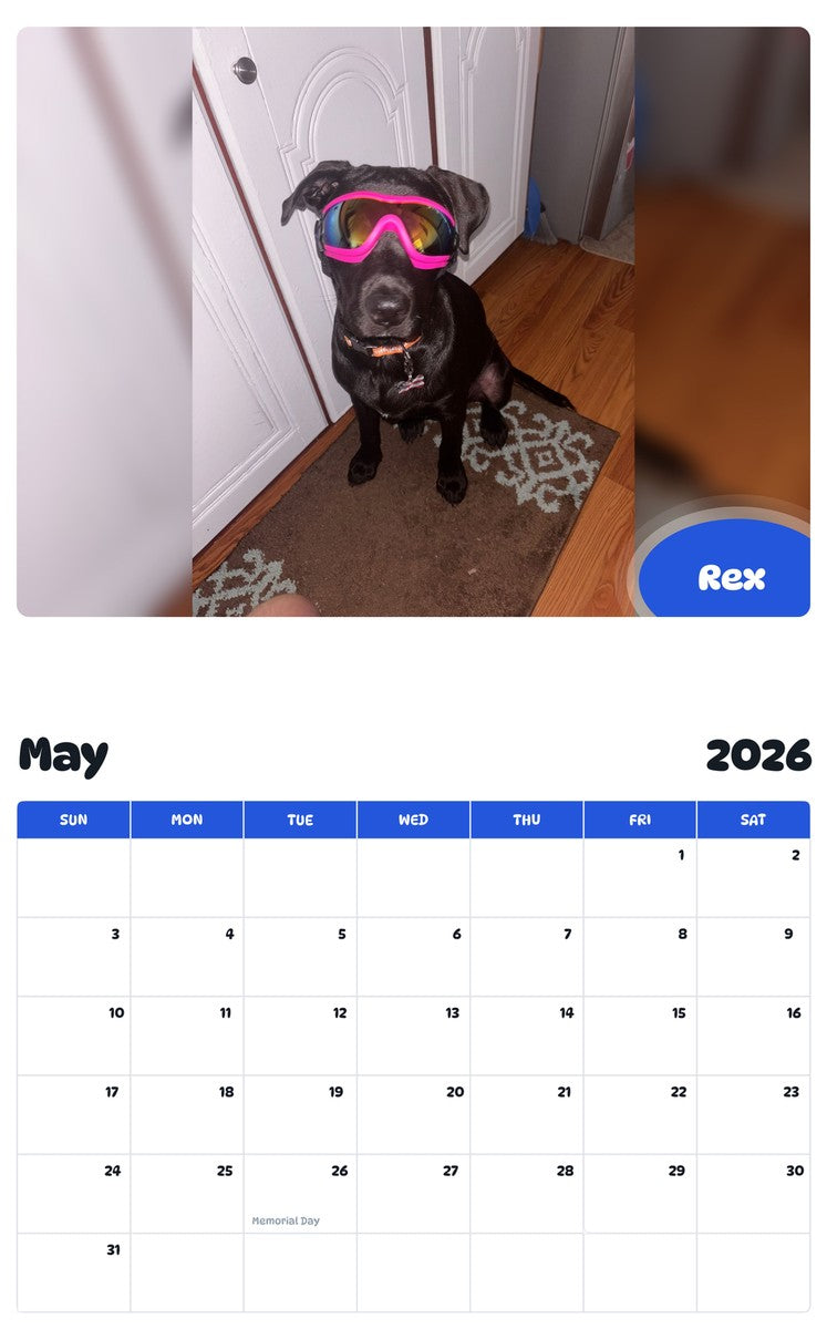 2026 - 2027 Rex - Pawidols Pet Calendar