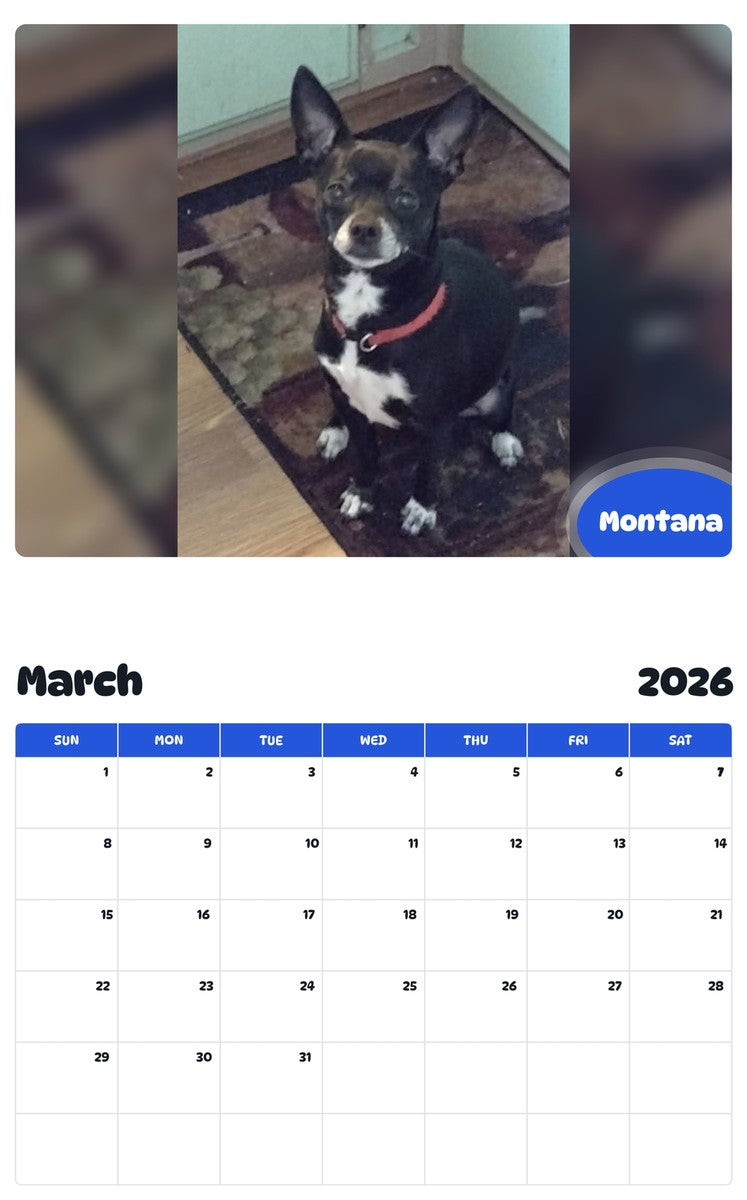 November 2025 - October 2026 Montana - Pawidols Pet Calendar