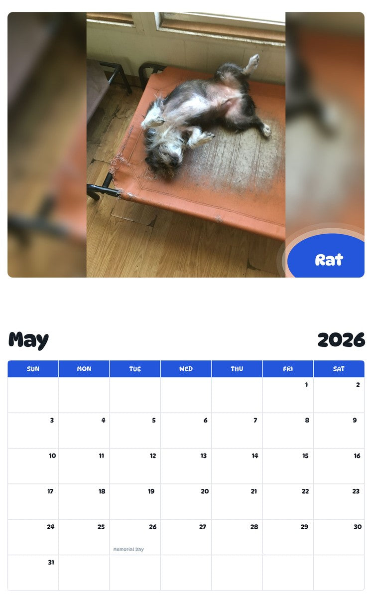 2026 - 2027 Rat - Pawidols Pet Calendar