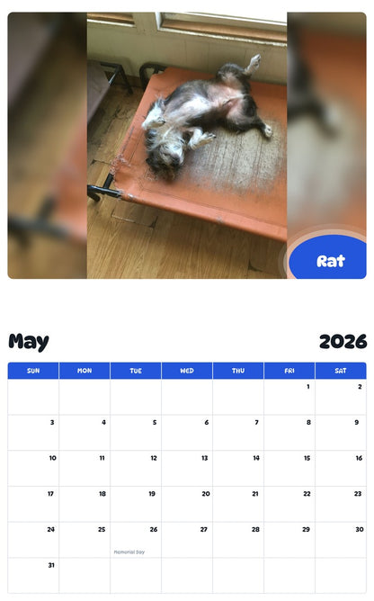 2026 - 2027 Rat - Pawidols Pet Calendar