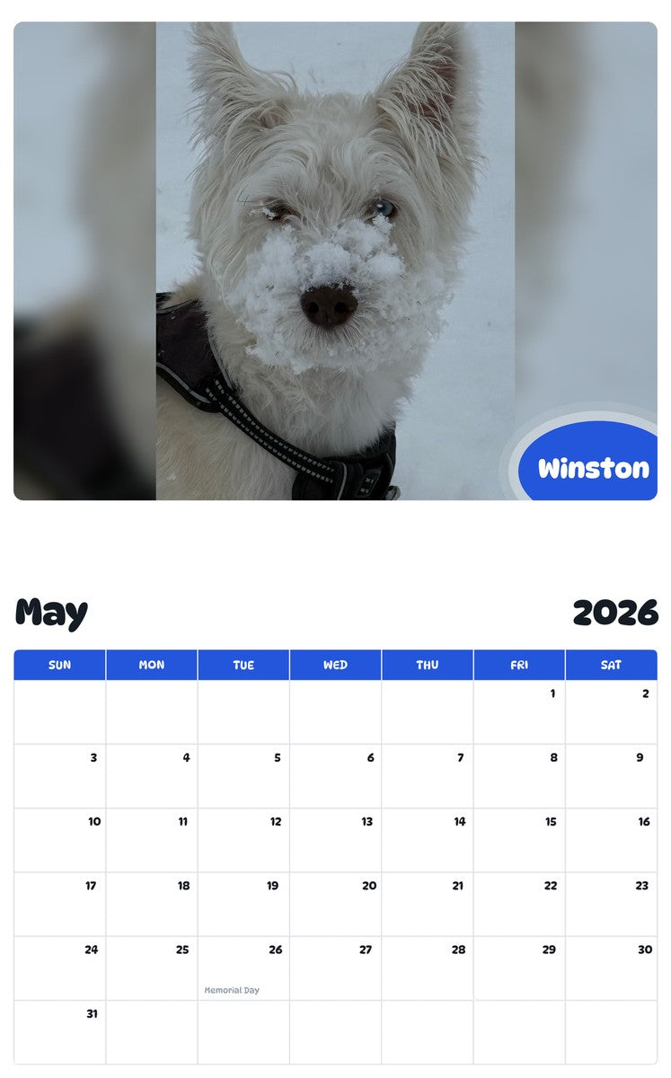 2026 - 2027 Winston - Pawidols Pet Calendar