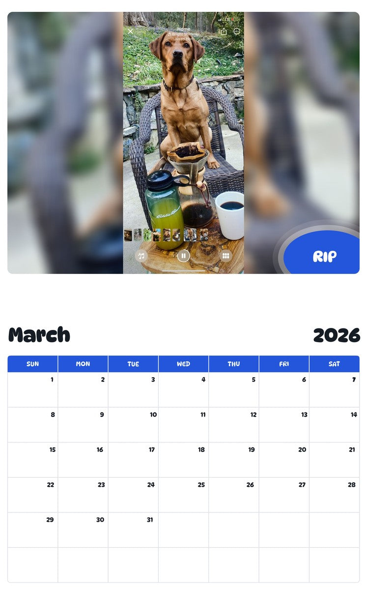 November 2025 - October 2026 RIP - Pawidols Pet Calendar