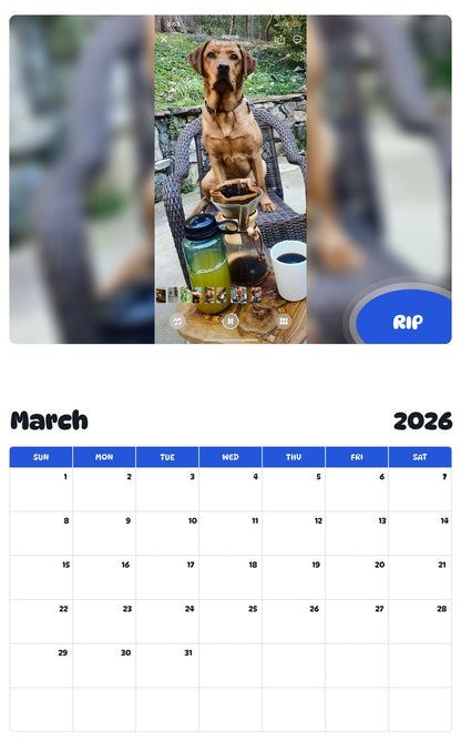November 2025 - October 2026 RIP - Pawidols Pet Calendar
