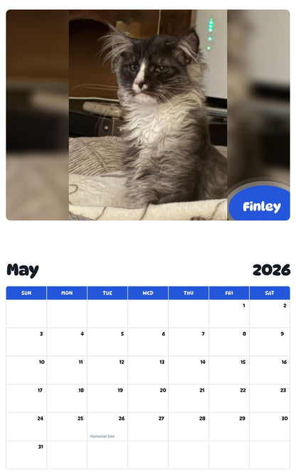 2026 - 2027 Finley - Pawidols Pet Calendar