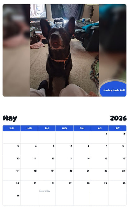 2026 - 2027 Marley Marie Bell - Pawidols Pet Calendar