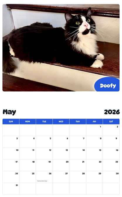 2026 - 2027 Doofy - Pawidols Pet Calendar