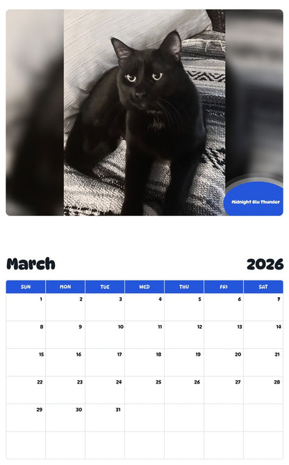 November 2025 - October 2026 Midnight Blu Thunder - Pawidols Pet Calendar