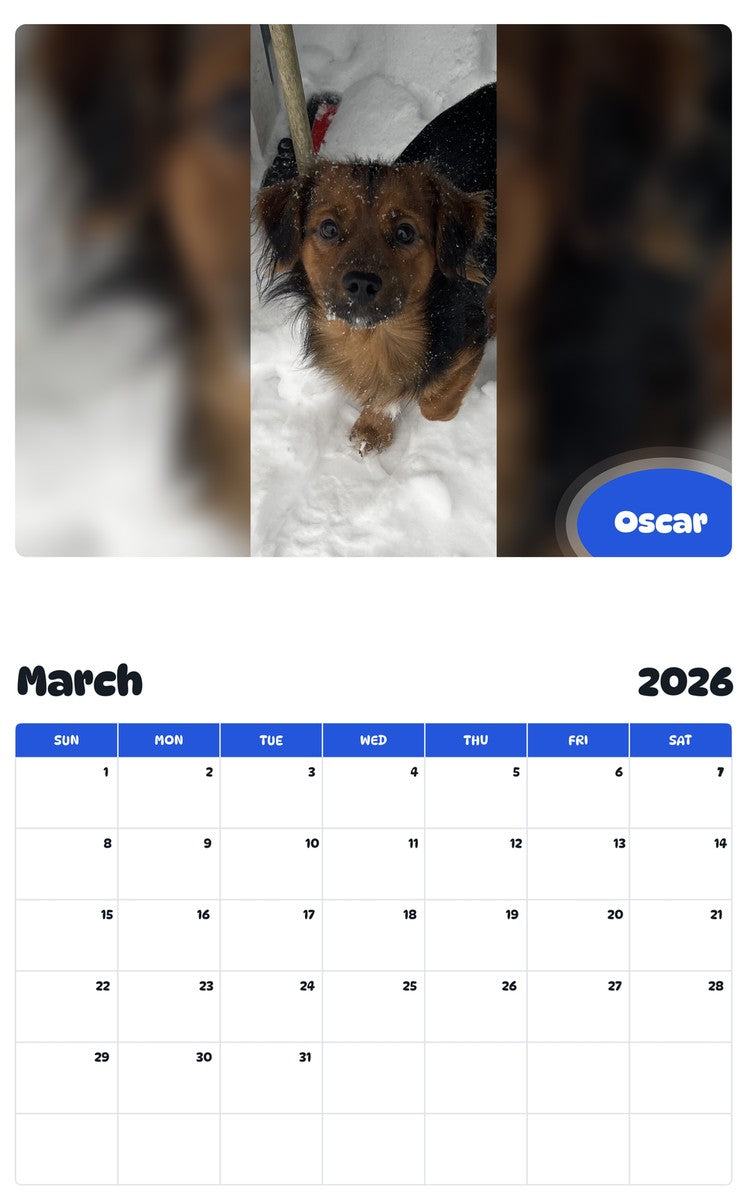November 2025 - October 2026 Oscar - Pawidols Pet Calendar