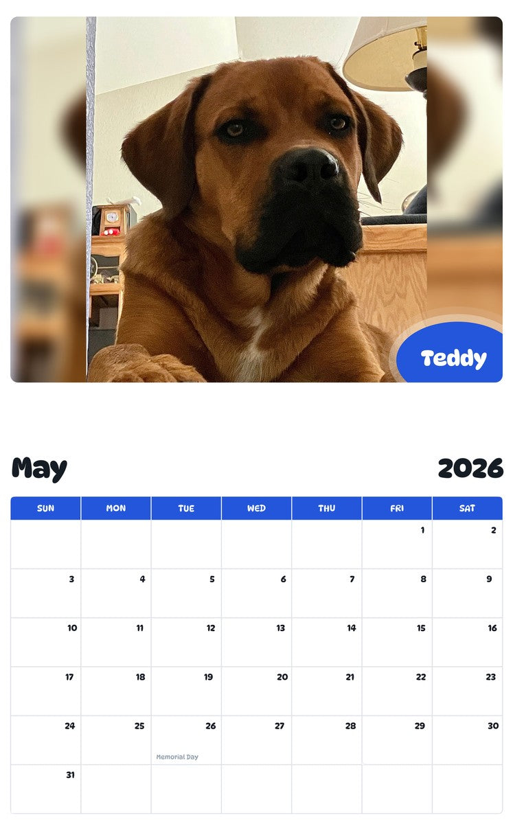 2026 - 2027 Teddy - Pawidols Pet Calendar