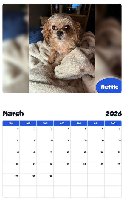 November 2025 - October 2026 Nettie - Pawidols Pet Calendar