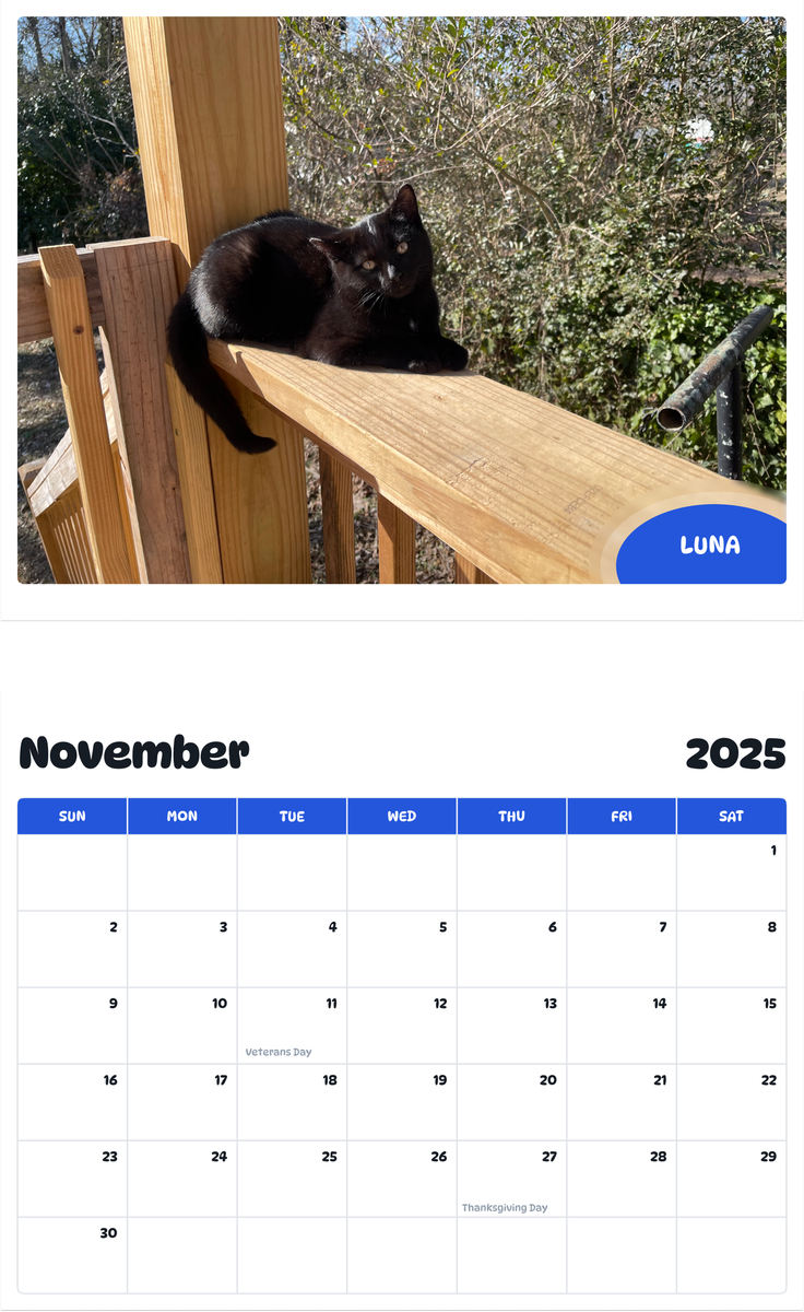 July 2025 - June 2026 Luna - Pawidols Pet Calendar