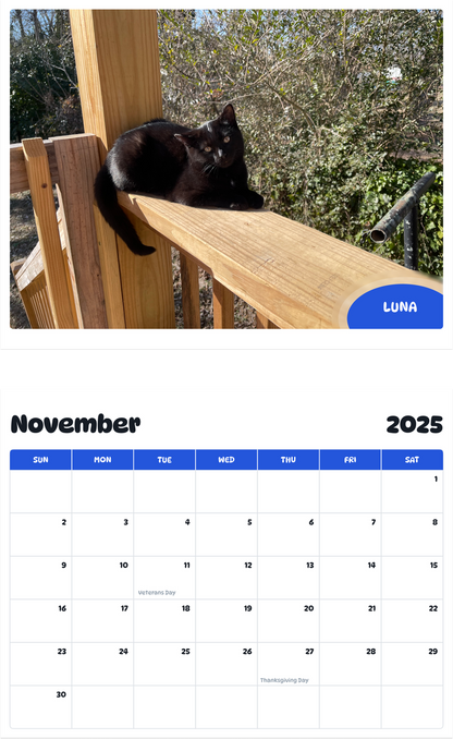 July 2025 - June 2026 Luna - Pawidols Pet Calendar