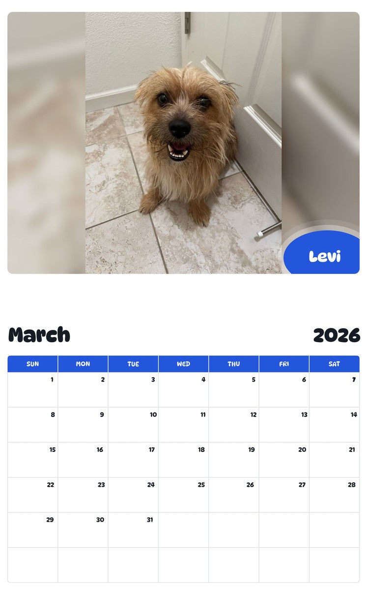 November 2025 - October 2026 Levi - Pawidols Pet Calendar