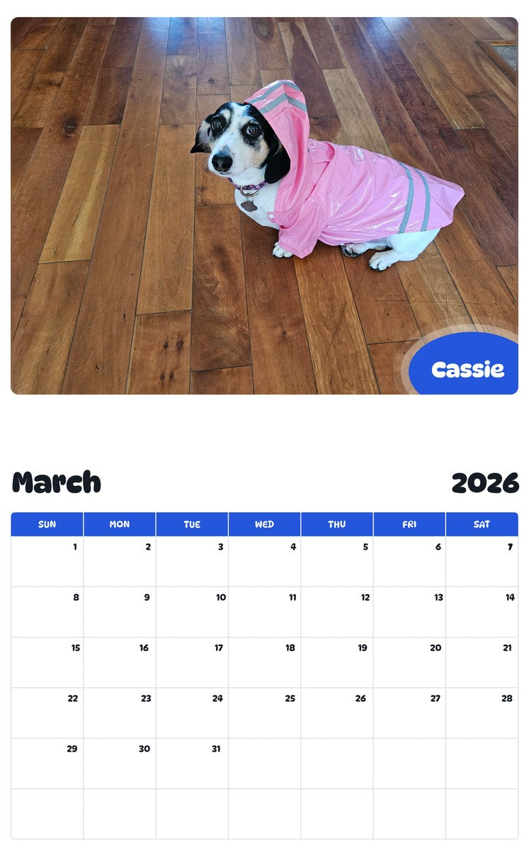 November 2025 - October 2026 Cassie - Pawidols Pet Calendar