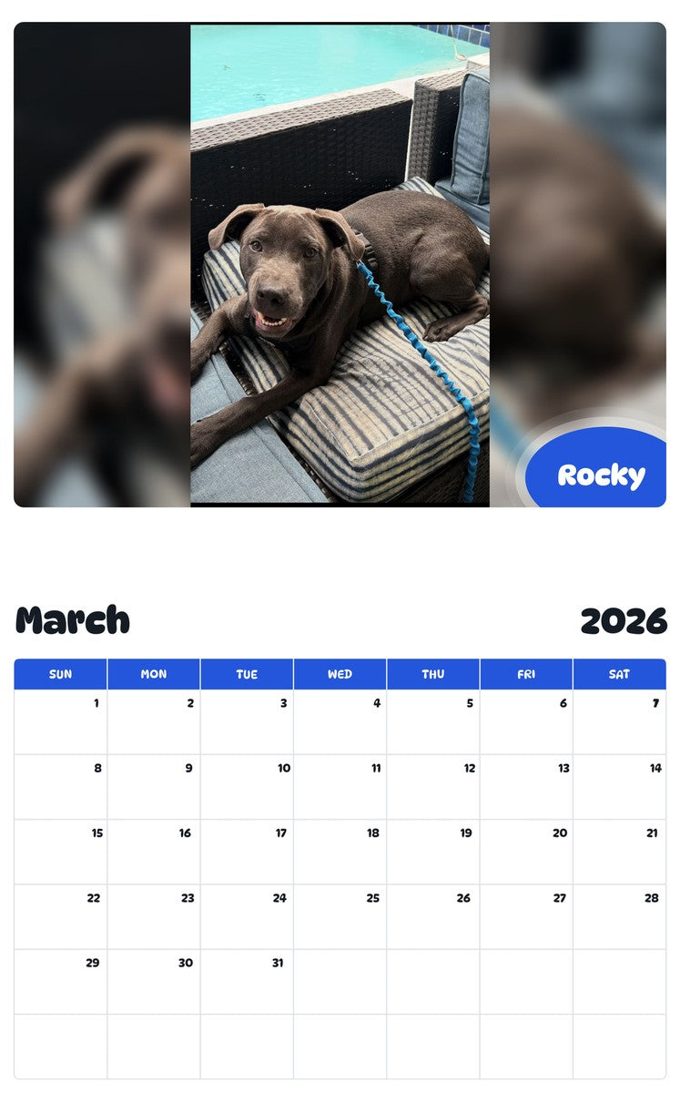 November 2025 - October 2026 Rocky - Pawidols Pet Calendar