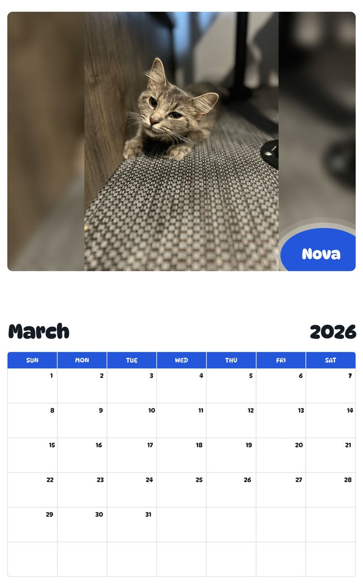 November 2025 - October 2026 Nova - Pawidols Pet Calendar