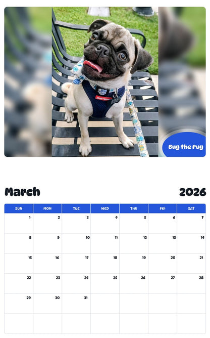 November 2025 - October 2026 Bug the Pug - Pawidols Pet Calendar