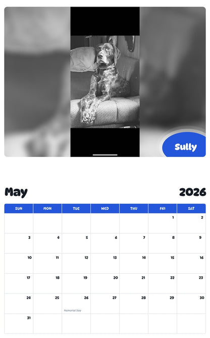 2026 - 2027 Sully - Pawidols Pet Calendar