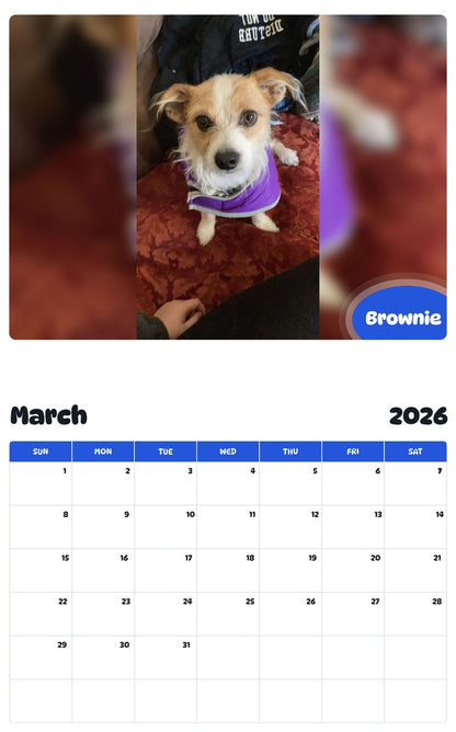 November 2025 - October 2026 Brownie - Pawidols Pet Calendar