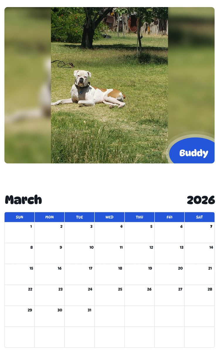 November 2025 - October 2026 Buddy - Pawidols Pet Calendar