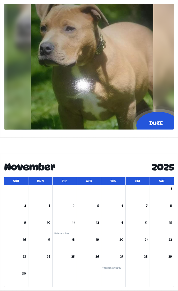 July 2025 - June 2026 Duke - Pawidols Pet Calendar