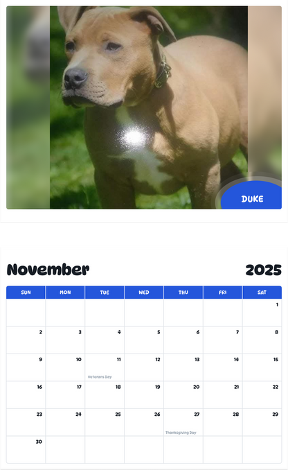 July 2025 - June 2026 Duke - Pawidols Pet Calendar