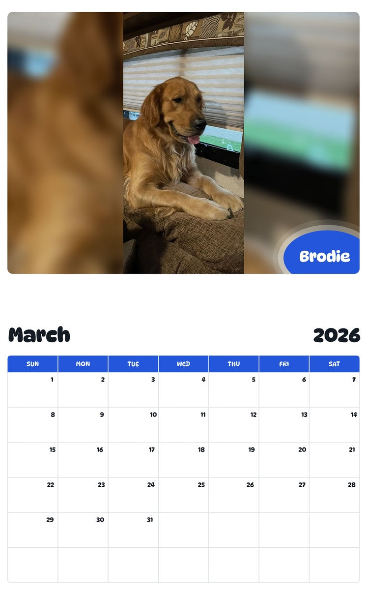 November 2025 - October 2026 Brodie - Pawidols Pet Calendar
