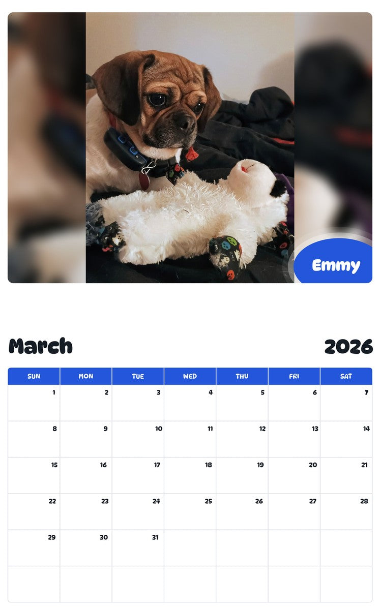 November 2025 - October 2026 Emmy - Pawidols Pet Calendar