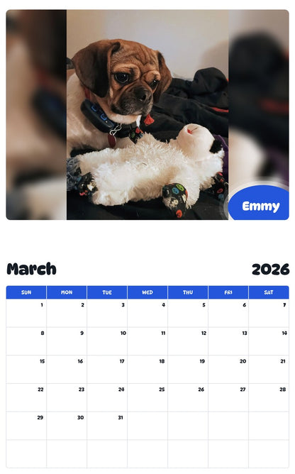 November 2025 - October 2026 Emmy - Pawidols Pet Calendar