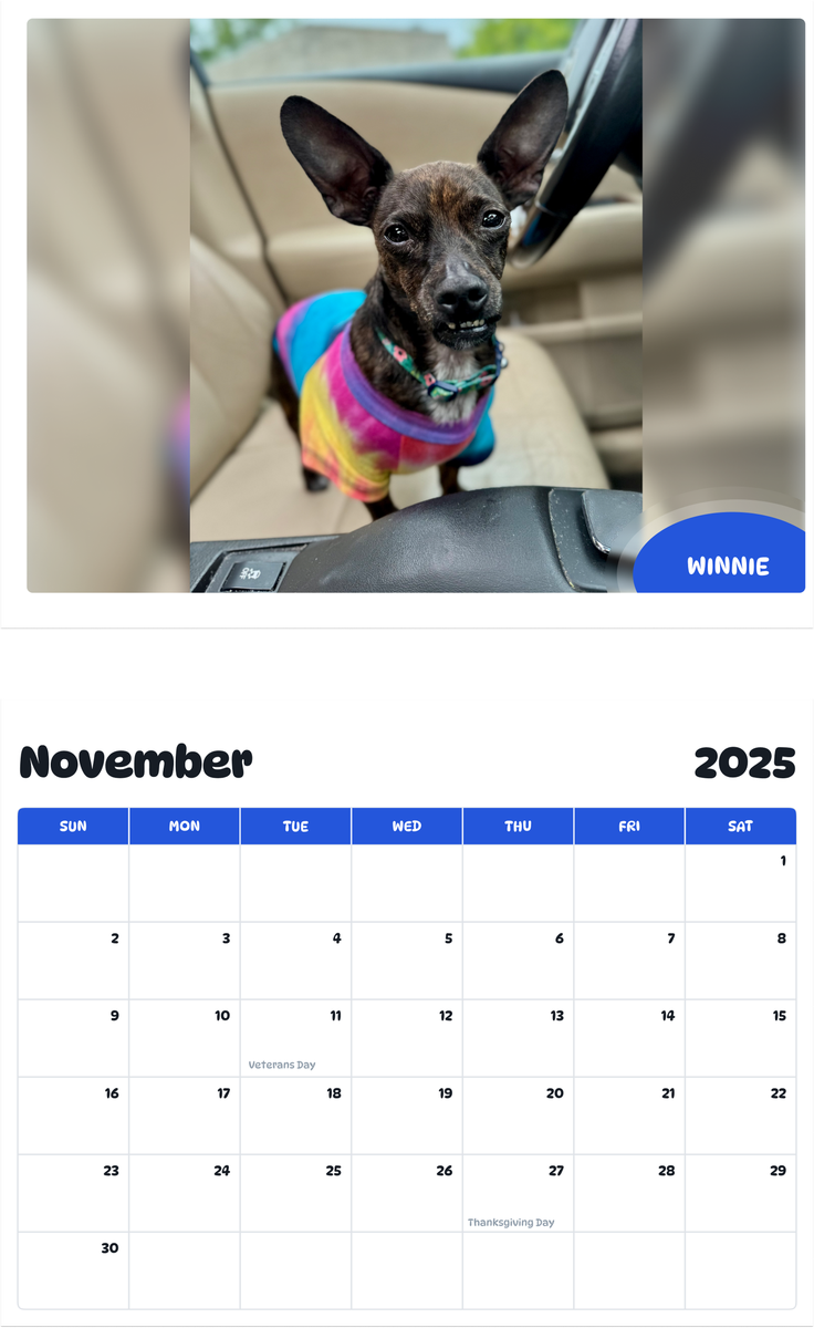 July 2025 - June 2026 Winnie - Pawidols Pet Calendar