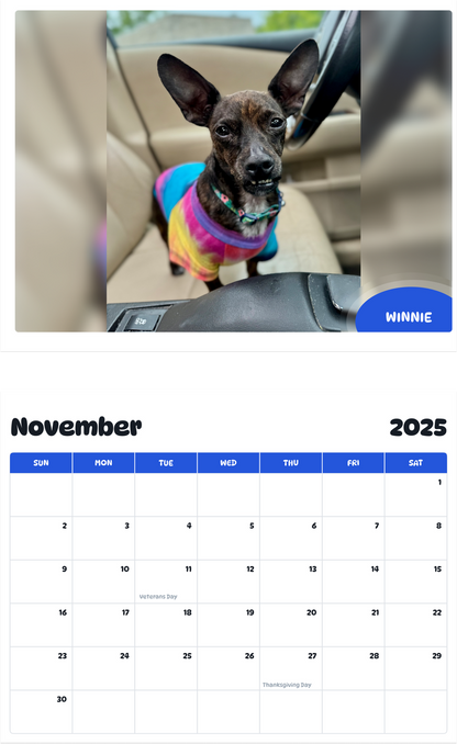 July 2025 - June 2026 Winnie - Pawidols Pet Calendar
