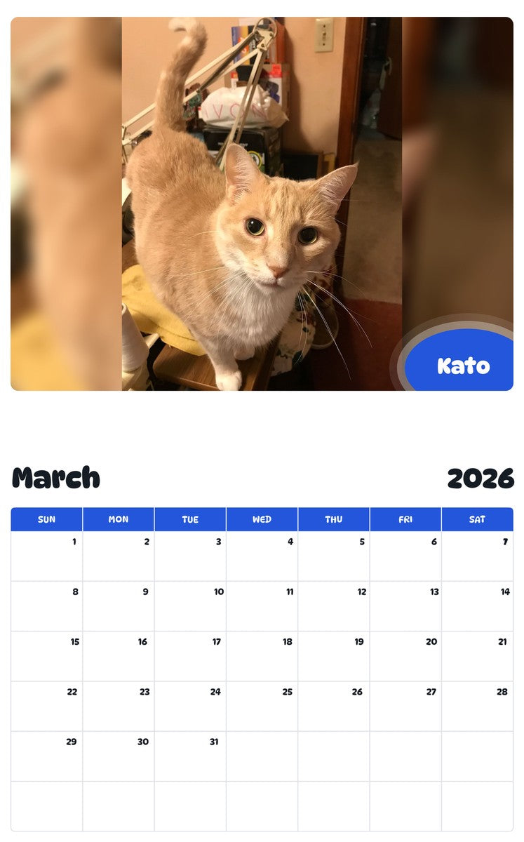 November 2025 - October 2026 Kato - Pawidols Pet Calendar