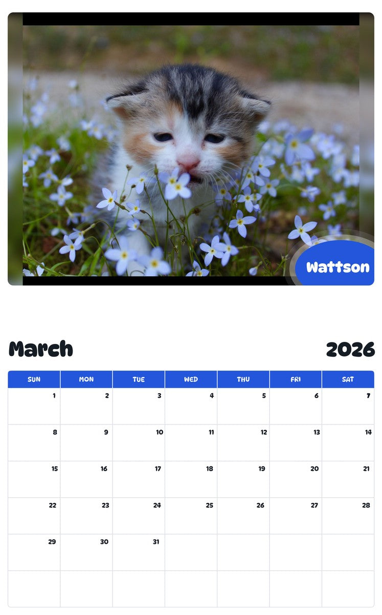 November 2025 - October 2026 Wattson - Pawidols Pet Calendar