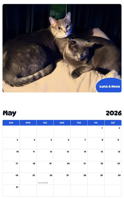 2026 - 2027 Luna & Nova - Pawidols Pet Calendar