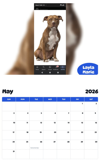 2026 - 2027 Layla Marie - Pawidols Pet Calendar