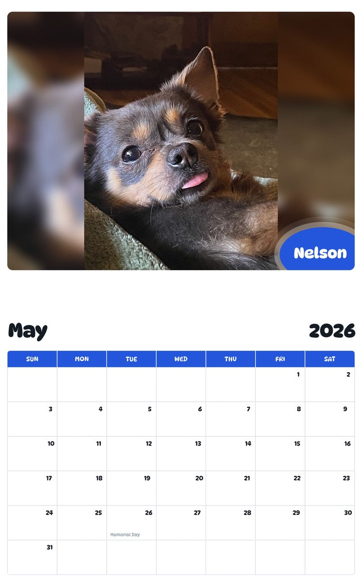 2026 - 2027 Nelson - Pawidols Pet Calendar