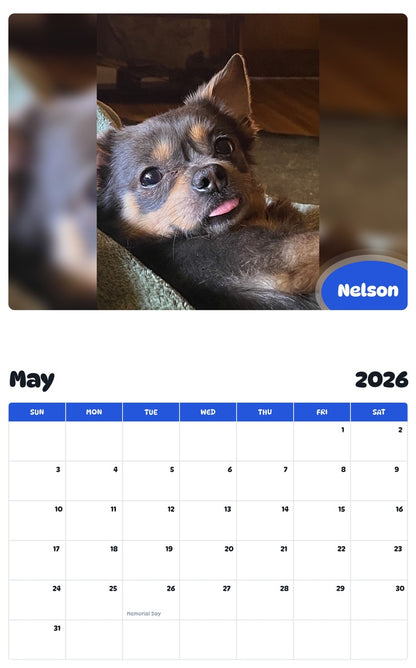 2026 - 2027 Nelson - Pawidols Pet Calendar