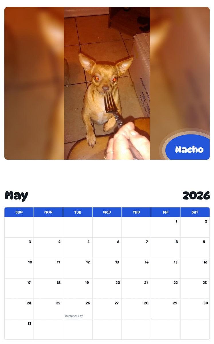 2026 - 2027 Nacho - Pawidols Pet Calendar