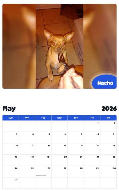 2026 - 2027 Nacho - Pawidols Pet Calendar