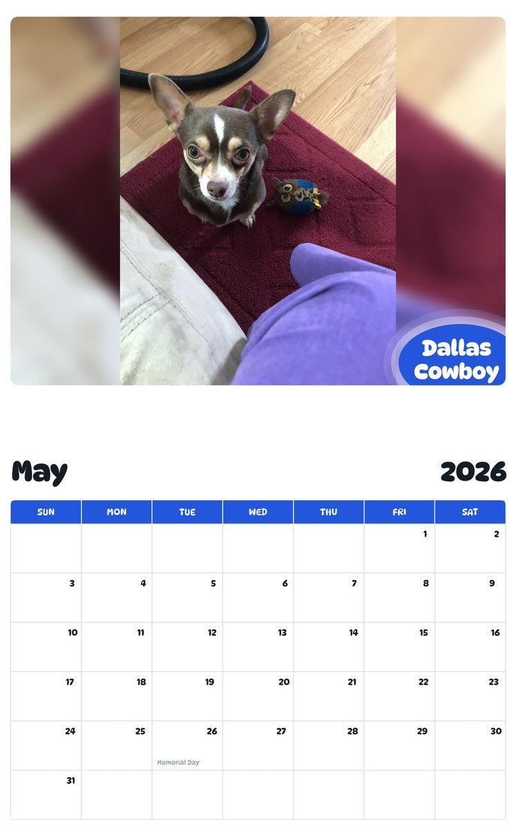 2026 - 2027 Dallas Cowboy - Pawidols Pet Calendar