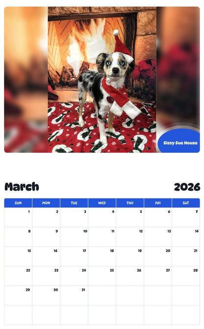 November 2025 - October 2026 Sissy Sue House - Pawidols Pet Calendar
