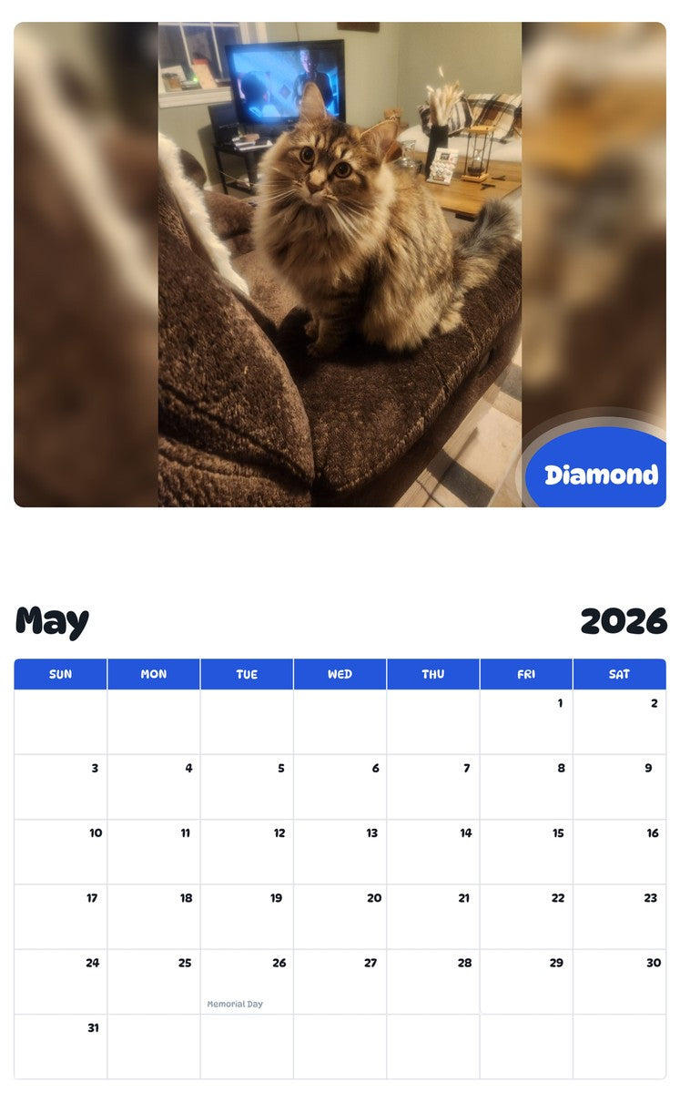 2026 - 2027 Diamond - Pawidols Pet Calendar