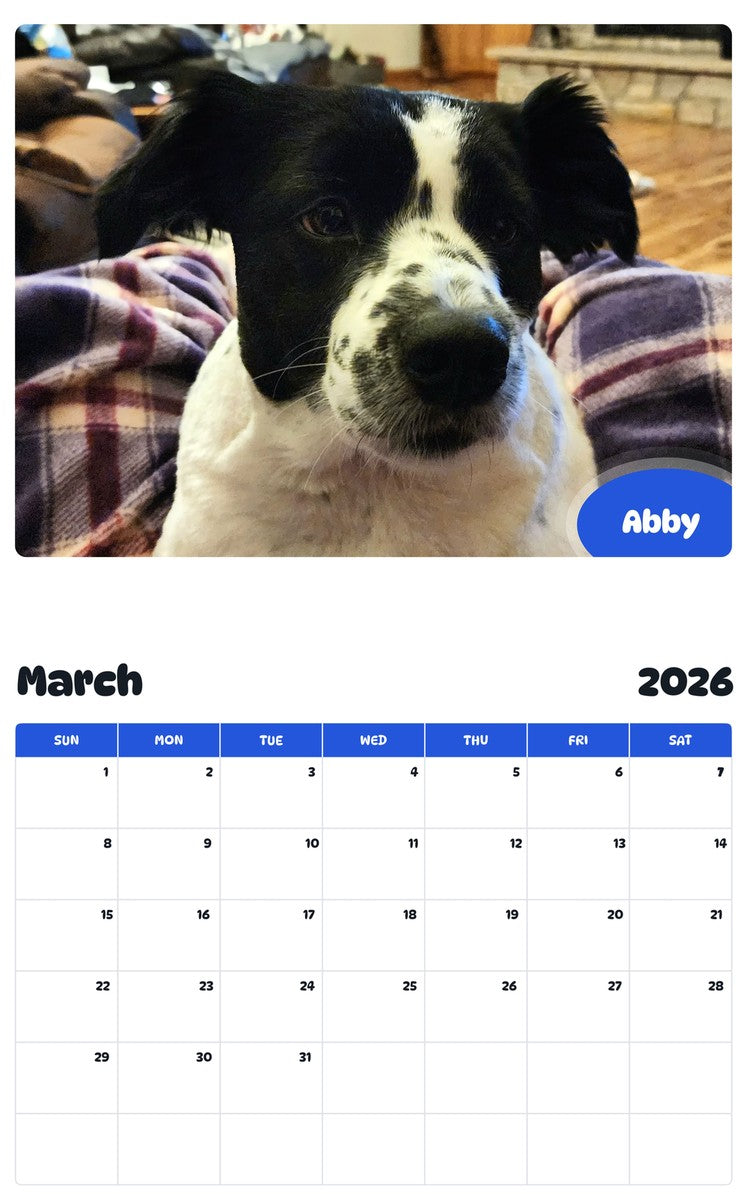 November 2025 - October 2026 Abby - Pawidols Pet Calendar